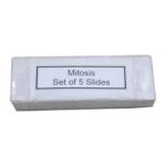 Mitosis Permanent Slide 1 Set