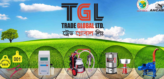trade global limited 08 28 2025 12 49 pm 1